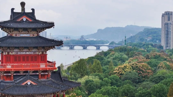 6389613629251049154549995