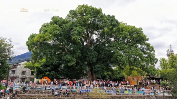 6389650747223574499883384