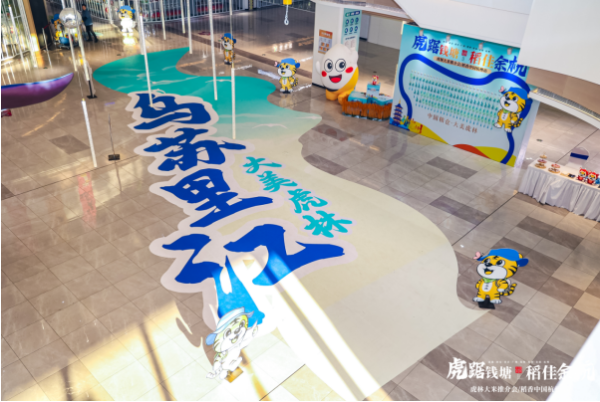 6389951015855246252733549