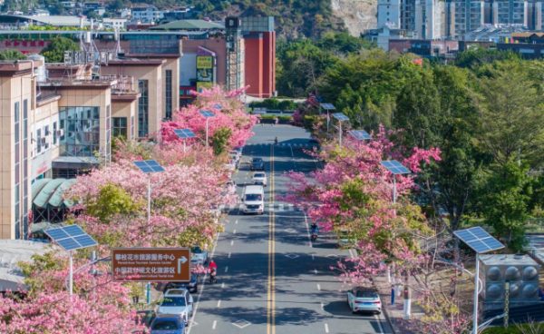 攀枝花城市品牌暨康养房地产（杭州）推介| 邂逅粉色浪漫 安家康养之城